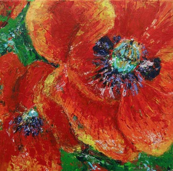 papaver