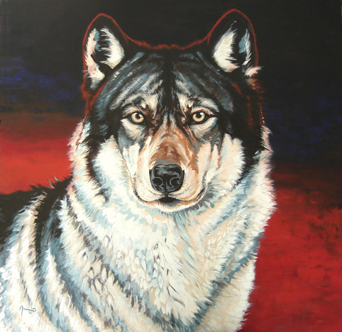 wolf in avondschemer