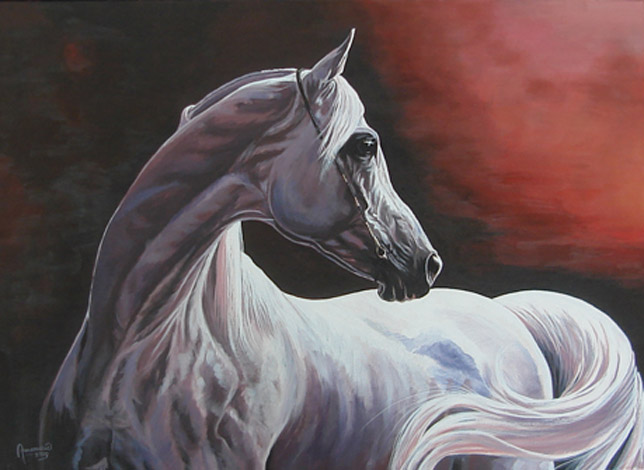 Arabisch paard in avondschemer