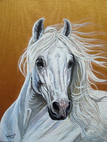 Andalusier in sprong