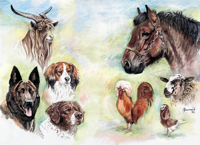 zeldzame huisdierrassen