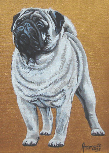 Mops Marcello