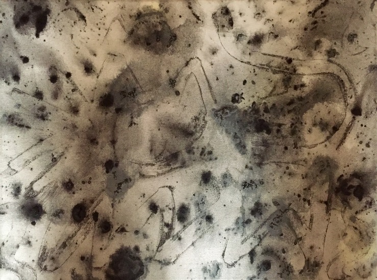 The secret hidden cat