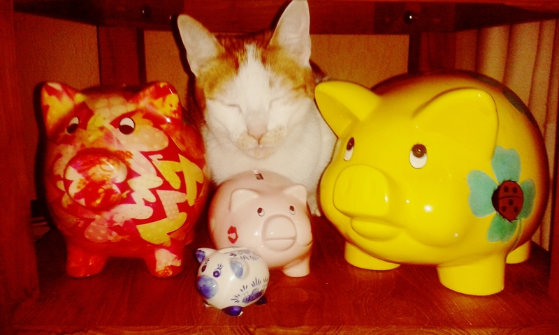 Moppie and the piggy banks
