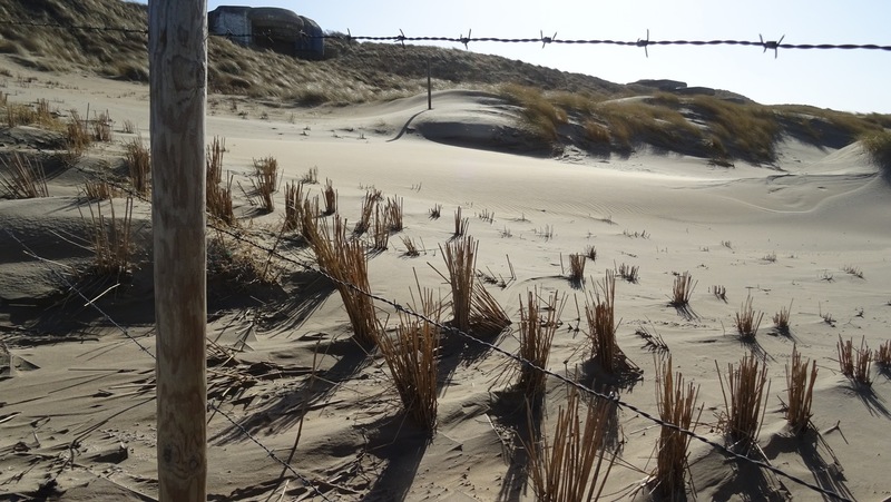Strand en Duinen.