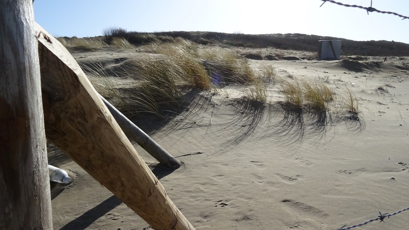 Strand en Duinen.
