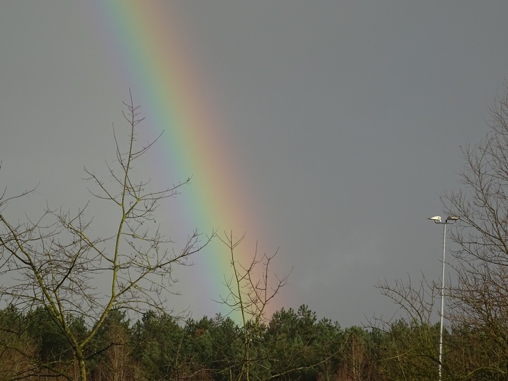 Regenboog.