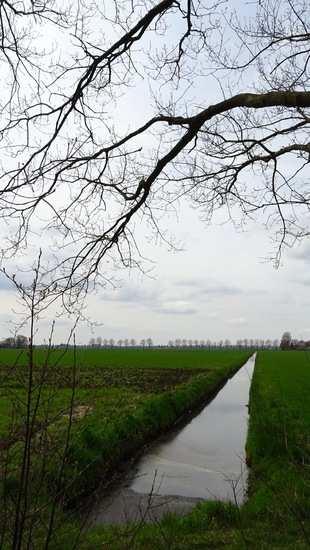 Lijnen in de natuur.