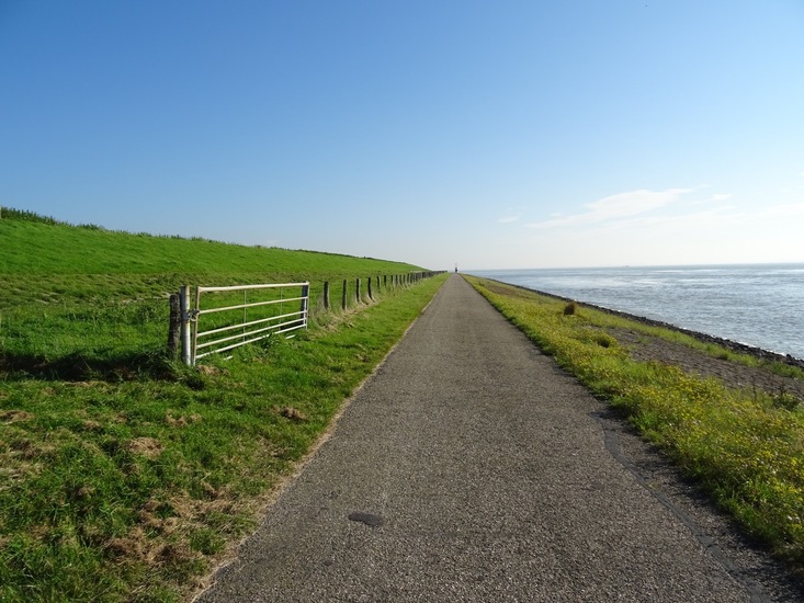 Lijnen in de natuur.