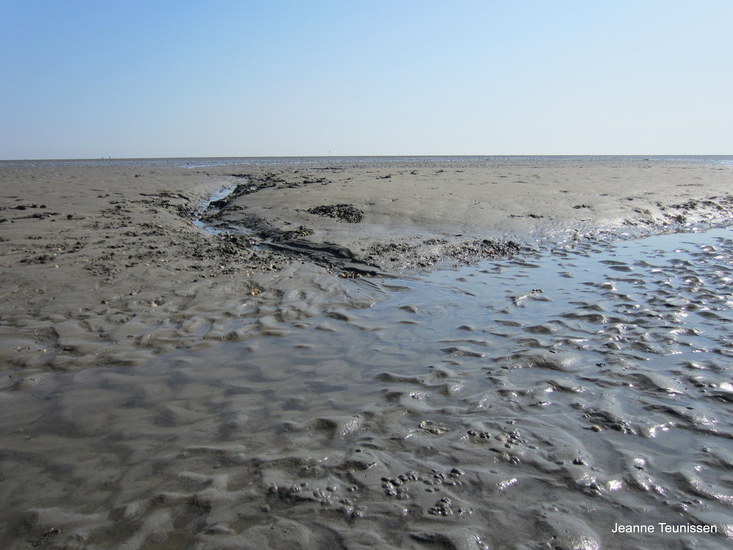 Waddenzee.