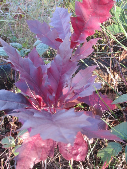 Mooie zachte kleuren.