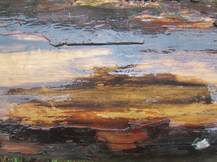 Structuren, gelijkenis.