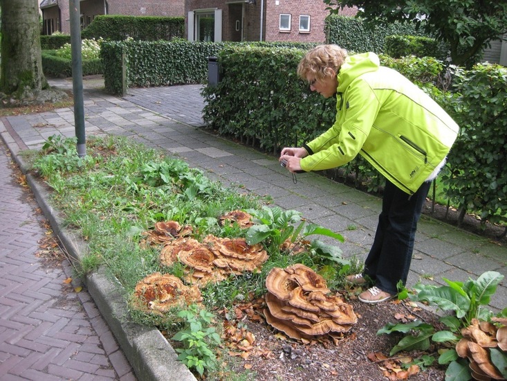 Oudere foto. (2013?)