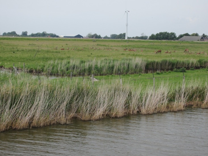 Landschap bij Den Helder.
