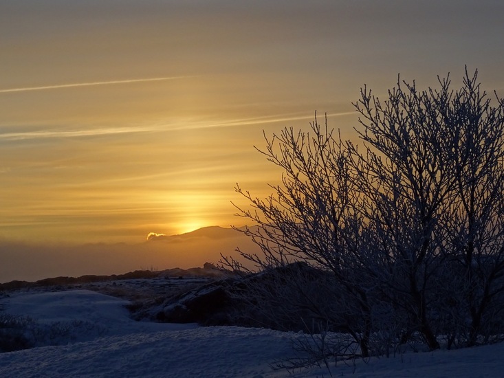 Een van de weinige bomen.
