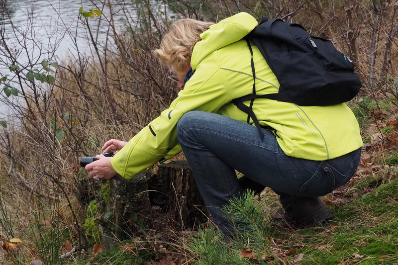 Seeterse 28 dec. 2015