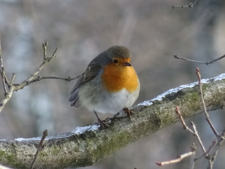 Ben ik niet schattig?