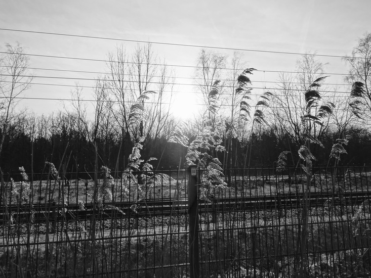 Langs het spoor.