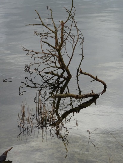 Ingewikkelde spiegeling.