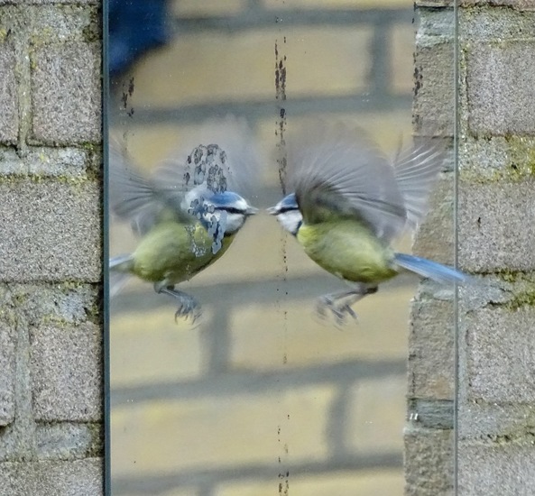Wij lijken heel erg op elkaar!