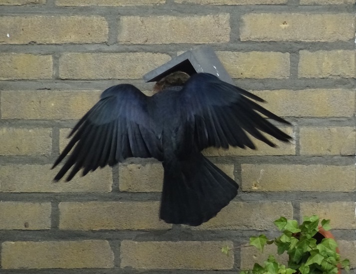 Kan er moeilijk bij!