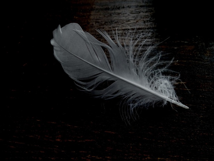 Beetje spelen met kleur.