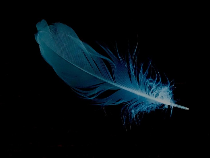 Beetje spelen met kleur.