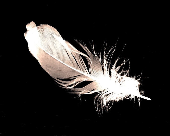 Beetje spelen met kleur.