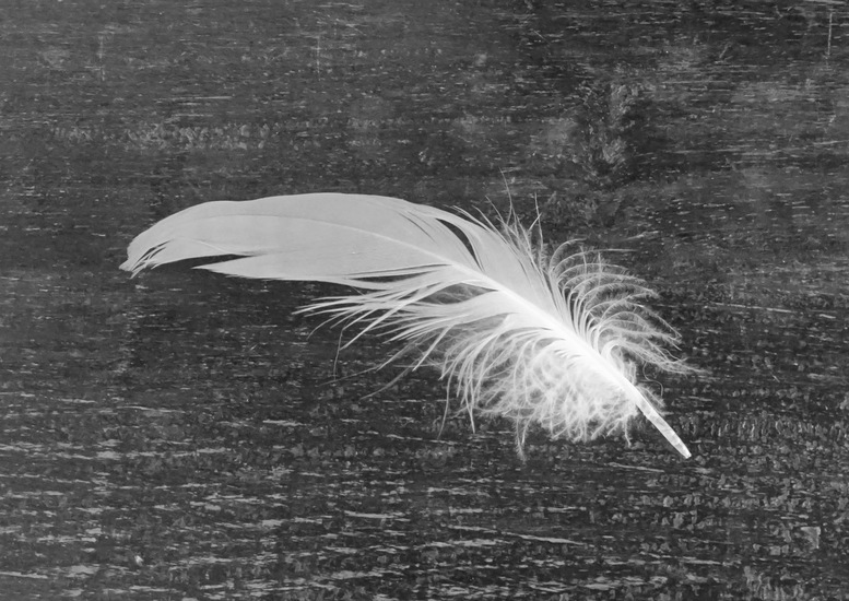 Beetje spelen met kleur.