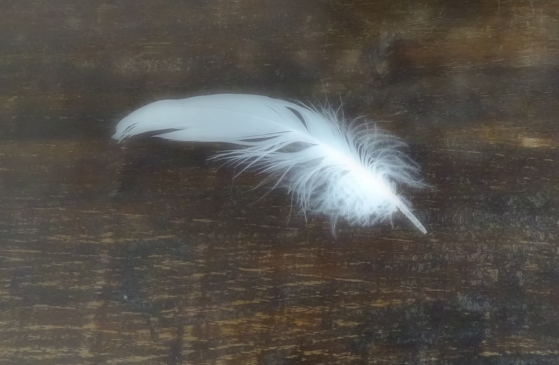 Beetje spelen met kleur.