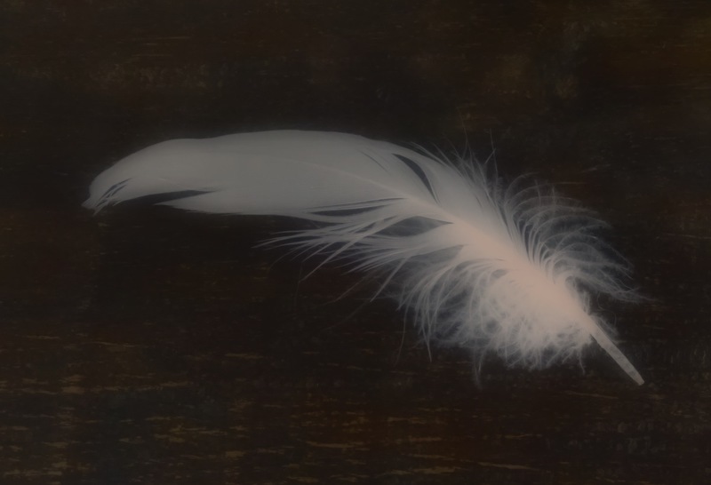 Beetje spelen met kleur.