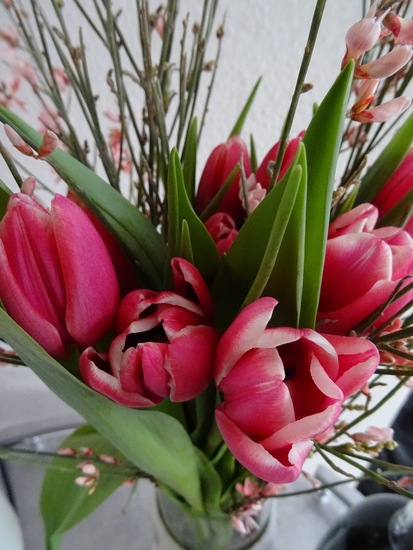 Tulpen boeket.