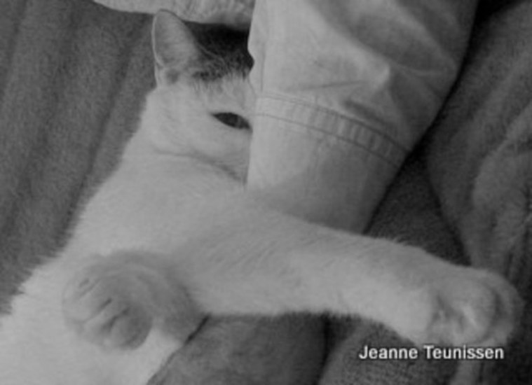 Baasje mag niet weg.