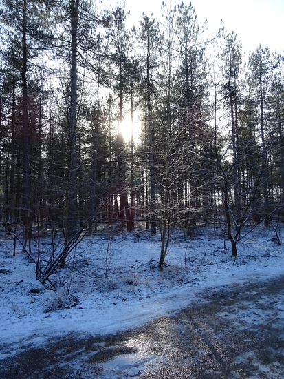 Zonnige winterdag.