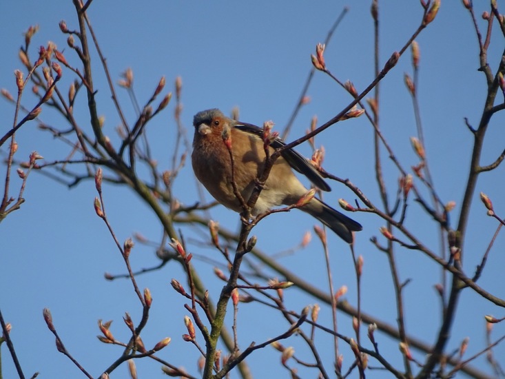 Lekker in het zonnetje.