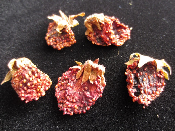 Gedroogde aardbeien.