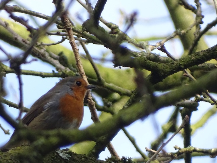 En ja hoor.. daar is ie weer.