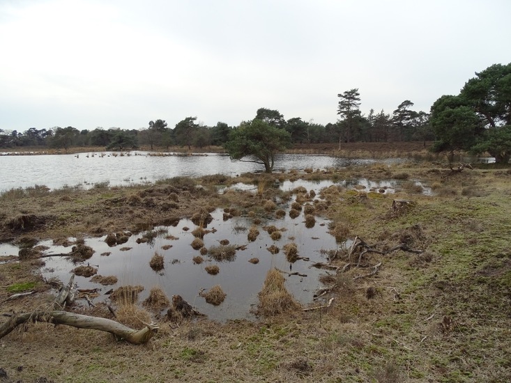 Strijbeek, 13-4-2016.