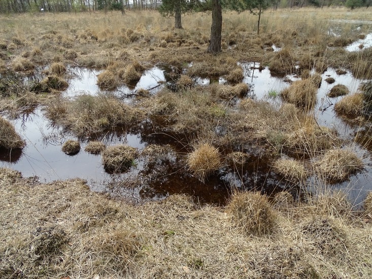 Strijbeek, 13-4-2016.