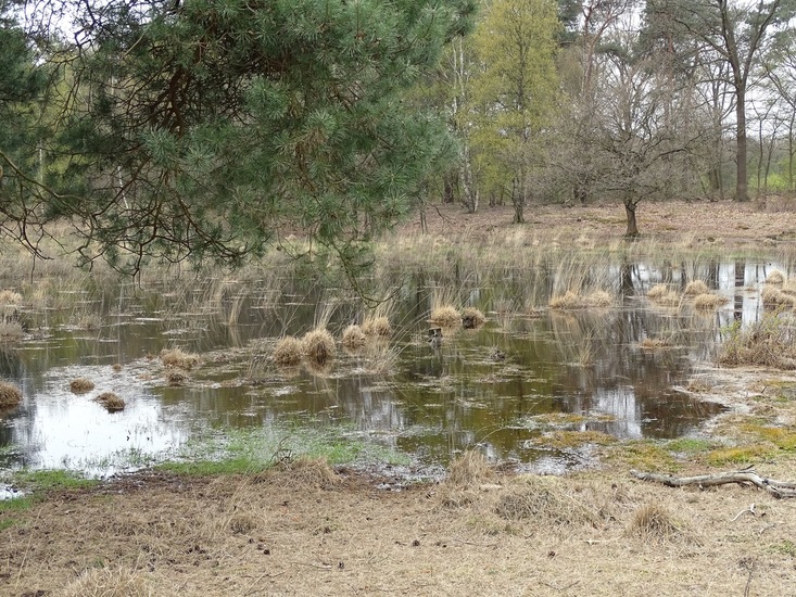 Strijbeek, 13-4-2016.