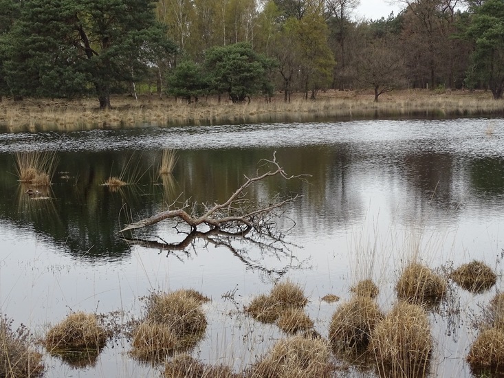 Strijbeek, 13-4-2016.