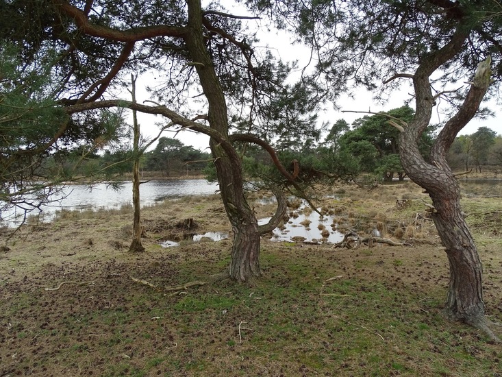 Strijbeek, 13-4-2016.