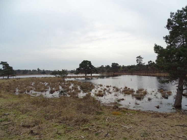 Strijbeek, 13-4-2016.