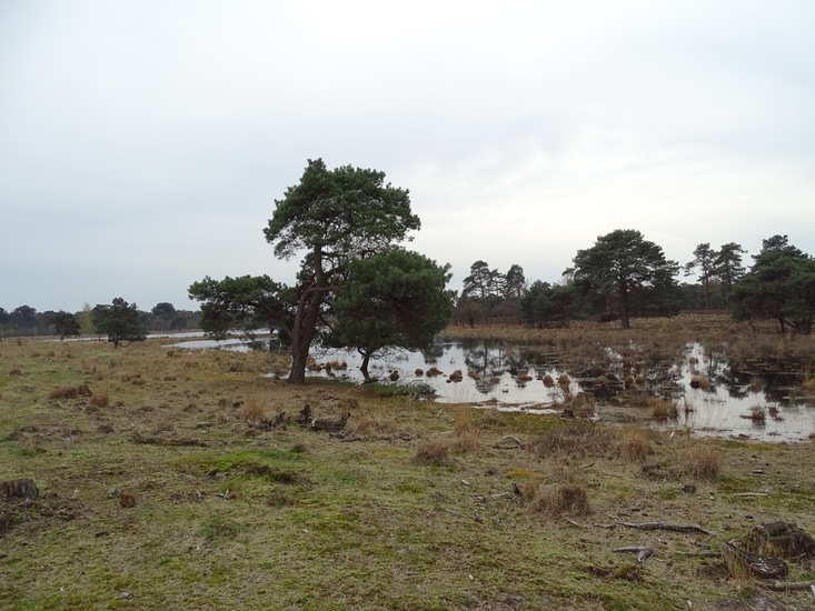 Strijbeek, 13-4-2016.