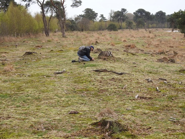 Strijbeek, 13-4-2016.