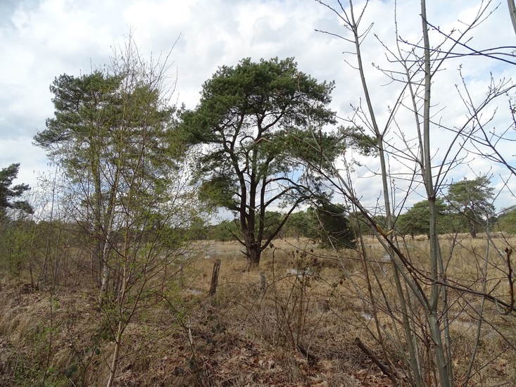 Strijbeek, 12-4-2016