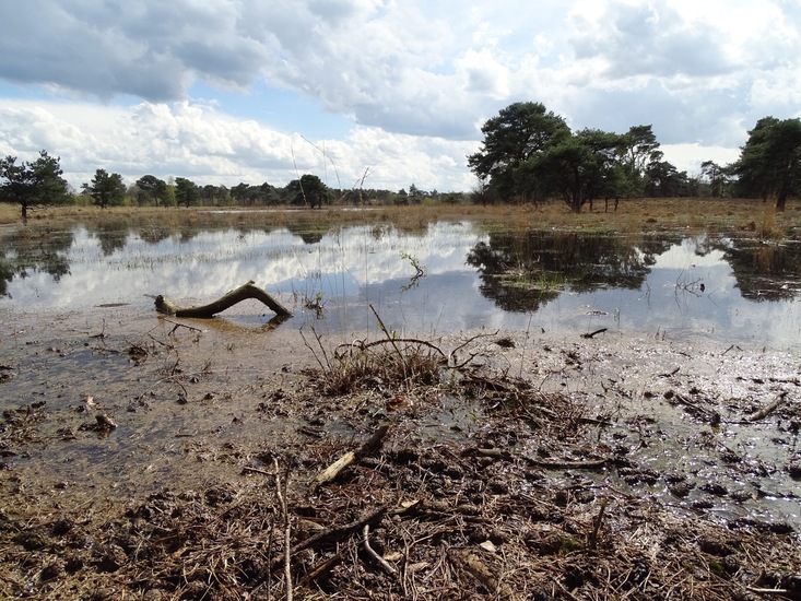 Strijbeek, 12-4-2016