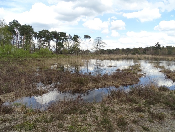 Strijbeek, 12-4-2016