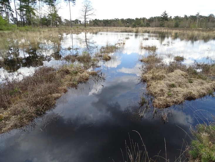 Strijbeek, 12-4-2016