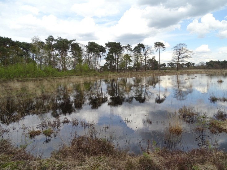 Strijbeek, 12-4-2016